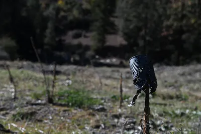 DSC_6507 (Large).JPG